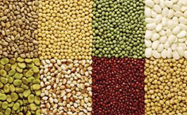 Beans/Pulses color sorter machine list