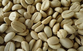 Coffee Beans Sorting