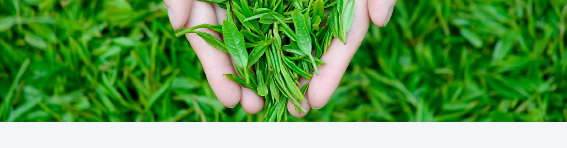 Tea Color Sorter Machine