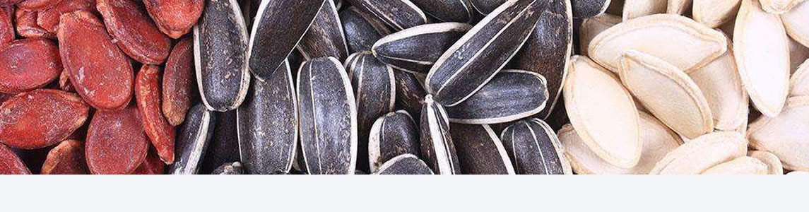 Sunflower Seeds 