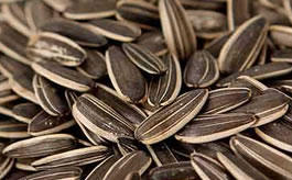 Sunflower Seeds Sorting