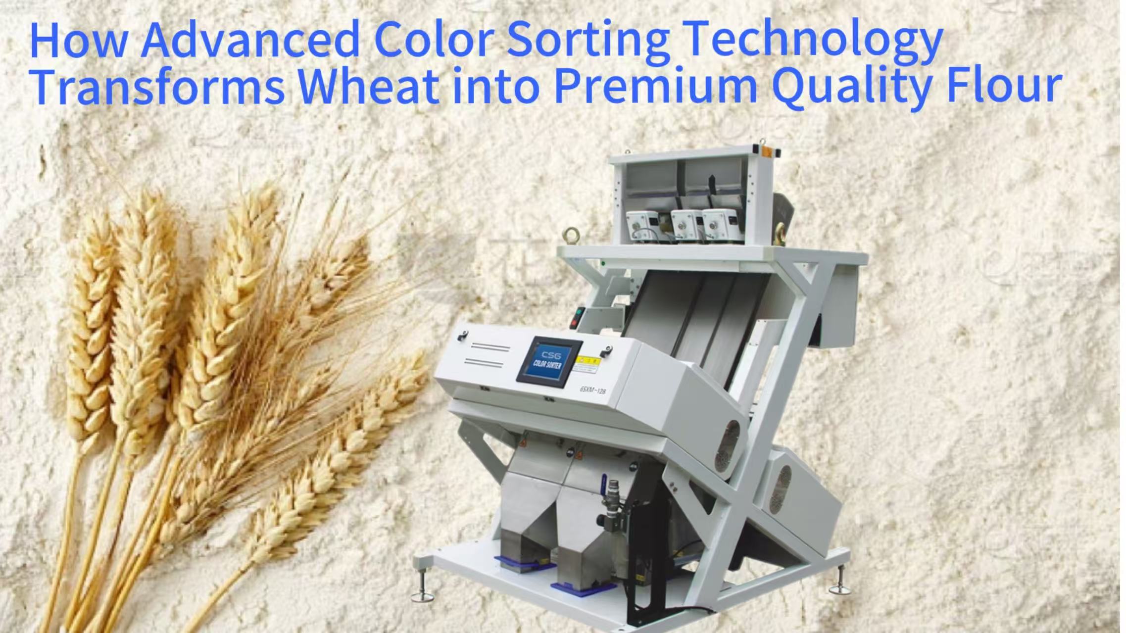 How Advanced Color Sorting Technology Transforms Wheat into Premium Quality Flour