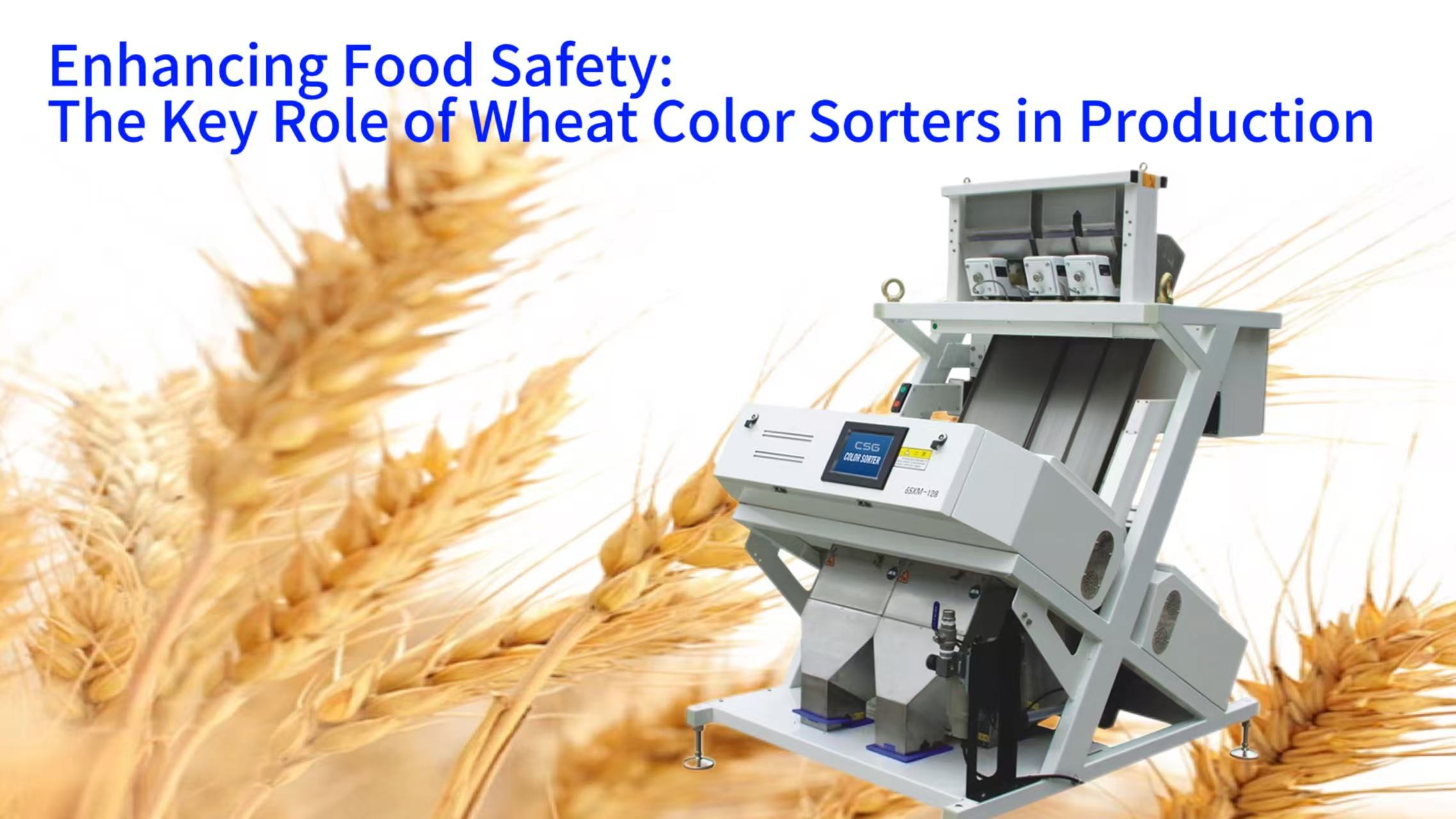 Enhancing Food Safety: The Key Role of Wheat Color Sorters in Production