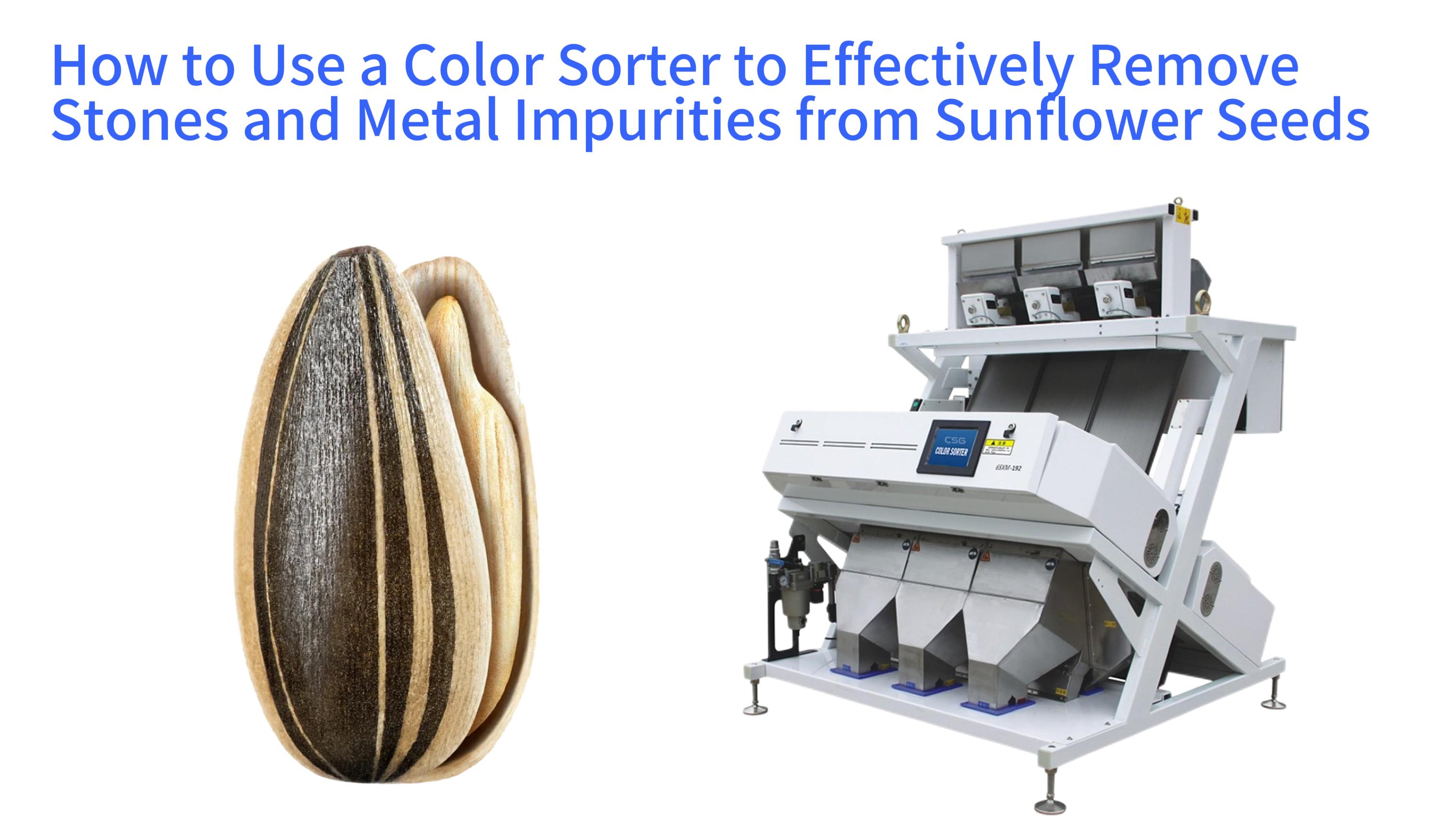 How to Use a Color Sorter to Effectively Remove Stones and Metal Impurities from Sunflower Seeds