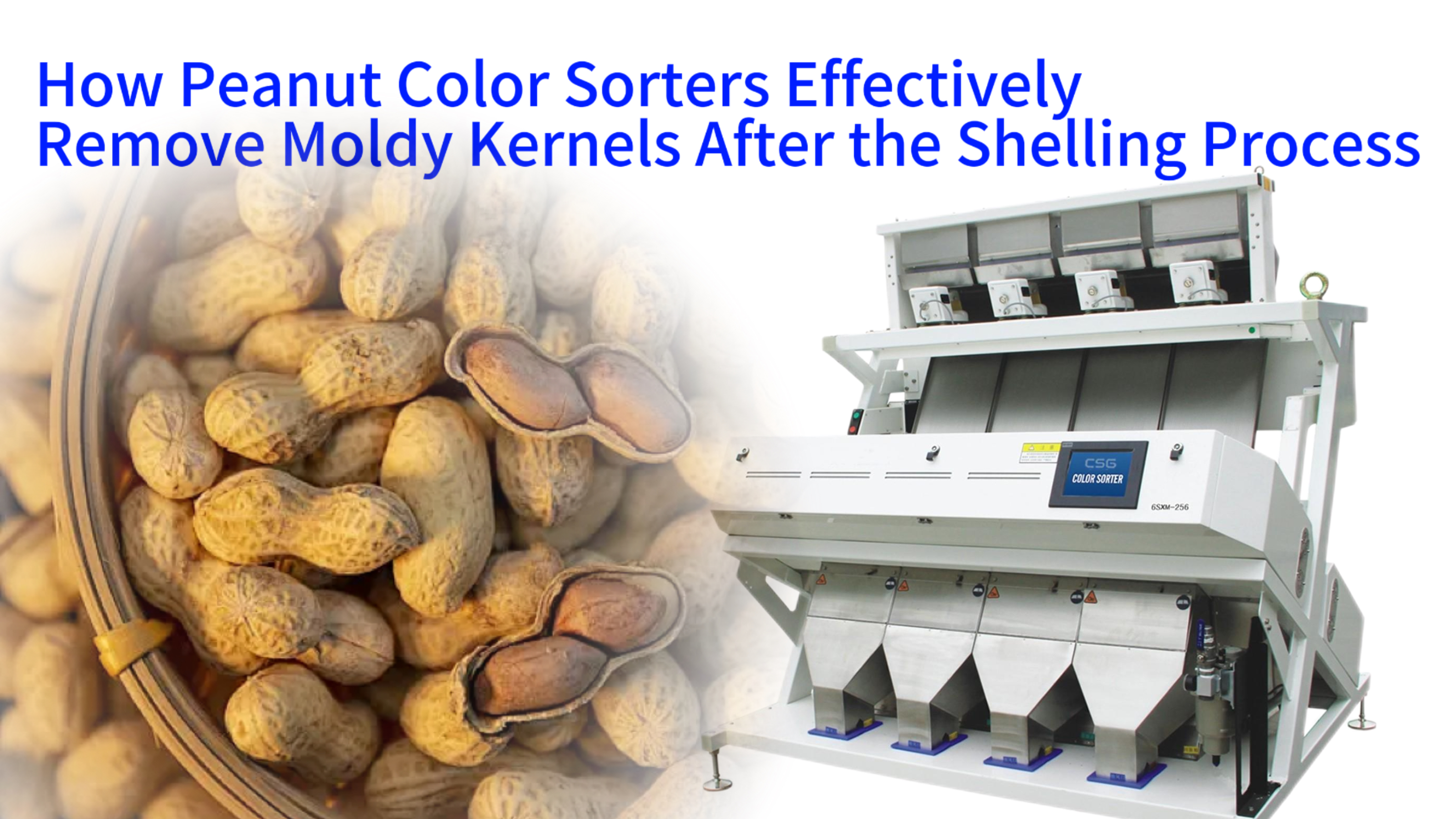 How Peanut Color Sorters Effectively Remove Moldy Kernels After the Shelling Process
