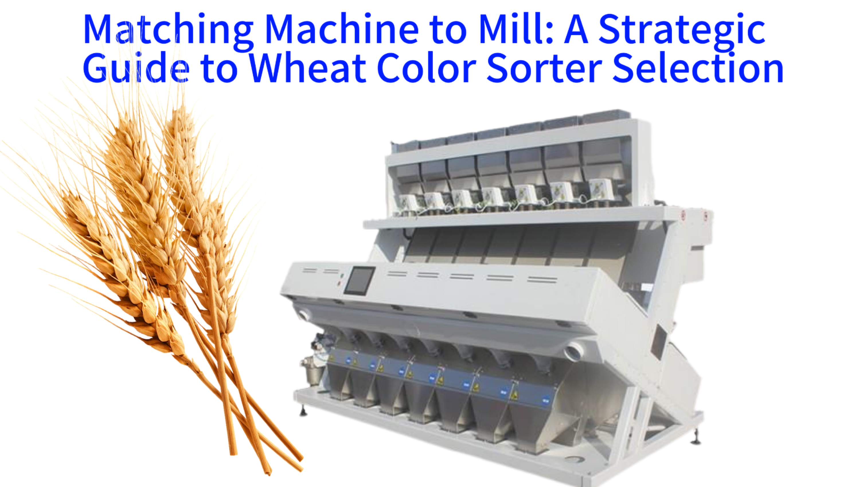Matching Machine to Mill: A Strategic Guide to Wheat Color Sorter Selection