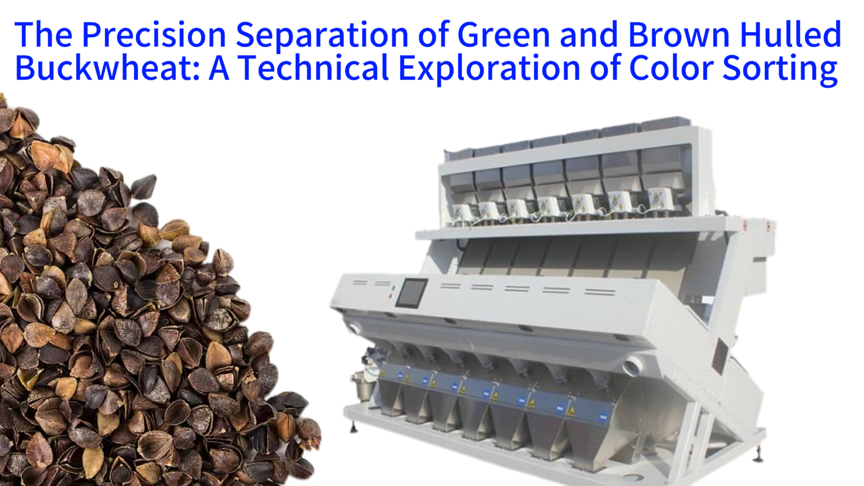 The Precision Separation of Green and Brown Hulled Buckwheat: A Technical Exploration of Color Sorting