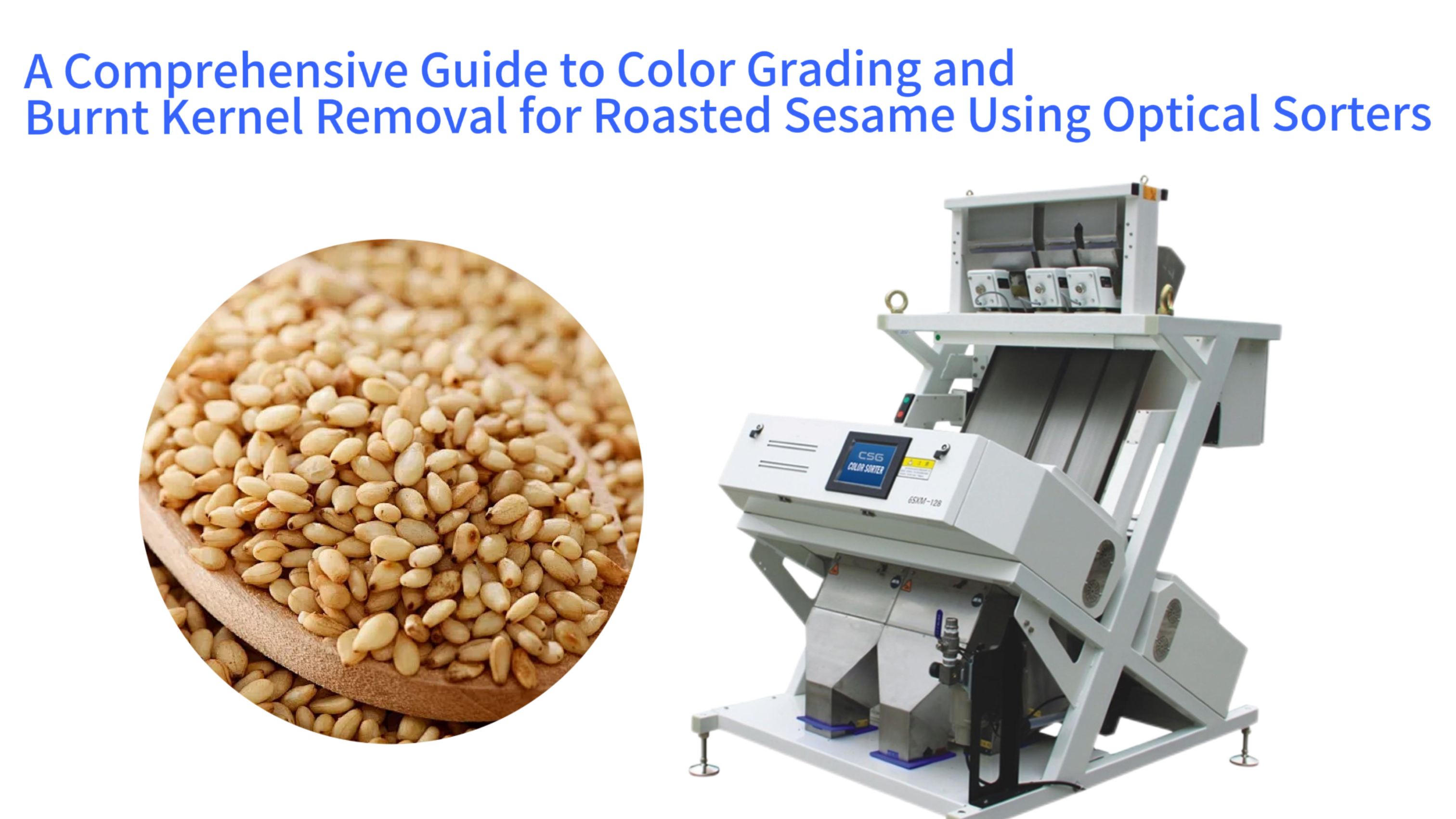 A Comprehensive Guide to Color Grading and Burnt Kernel Removal for Roasted Sesame Using Optical Sorters