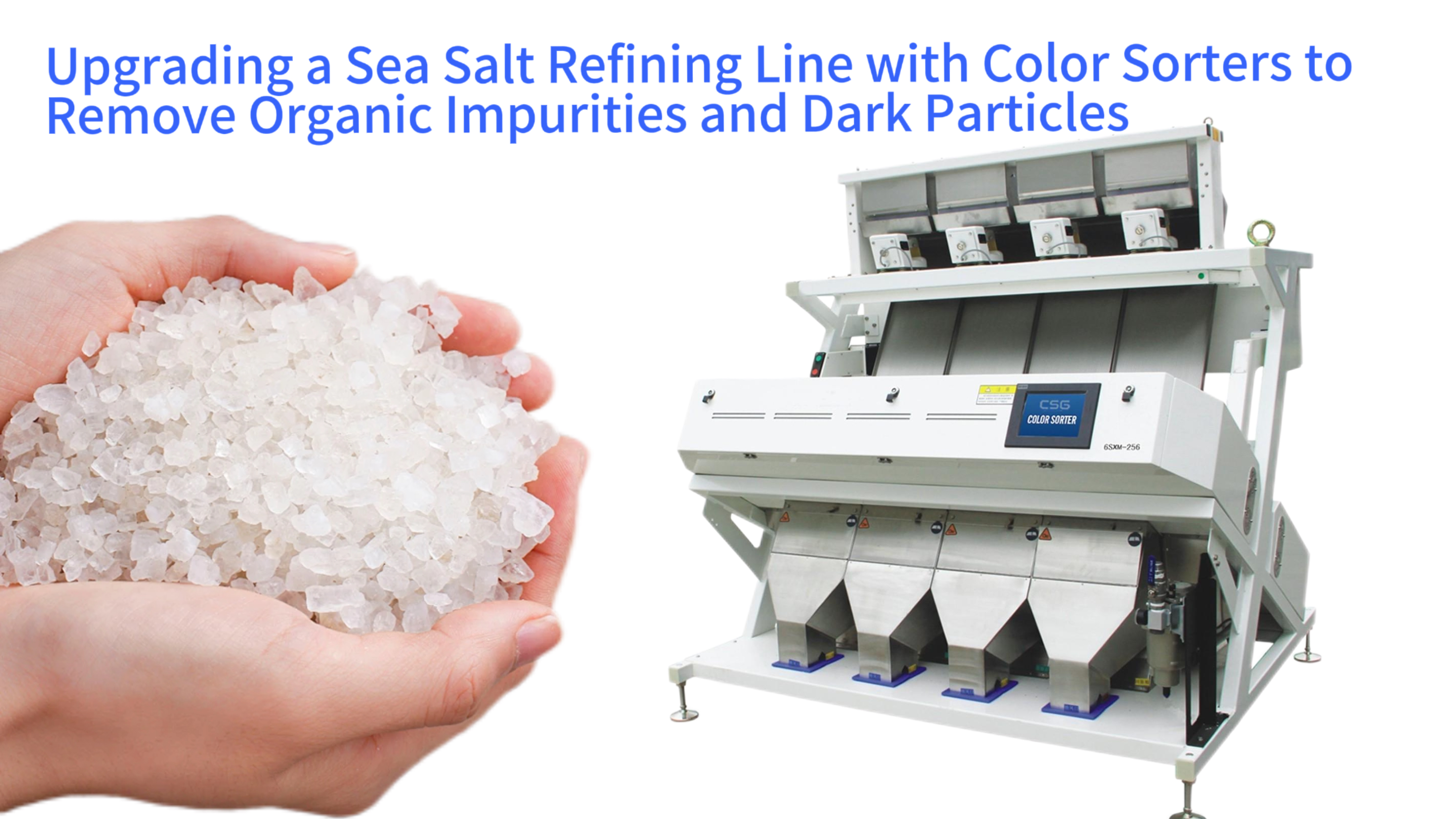 Upgrading a Sea Salt Refining Line with Color Sorters to Remove Organic Impurities and Dark Particles