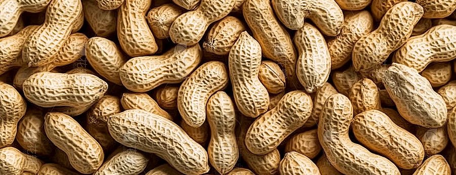 Groundnut Color Sorter Machine