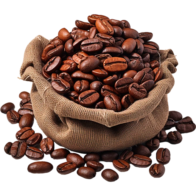 Coffee Bean Sorting Machine