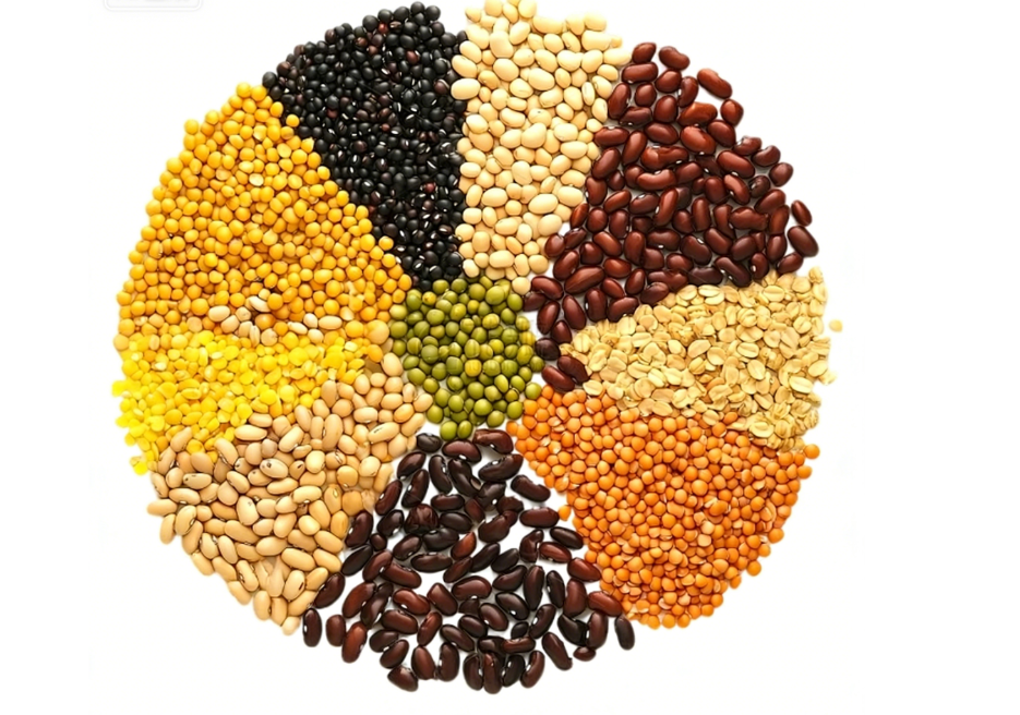 Grain Color Sorter Machine