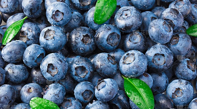 Blueberry Color Sorter