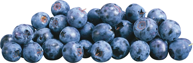 Blueberry Color Sorter