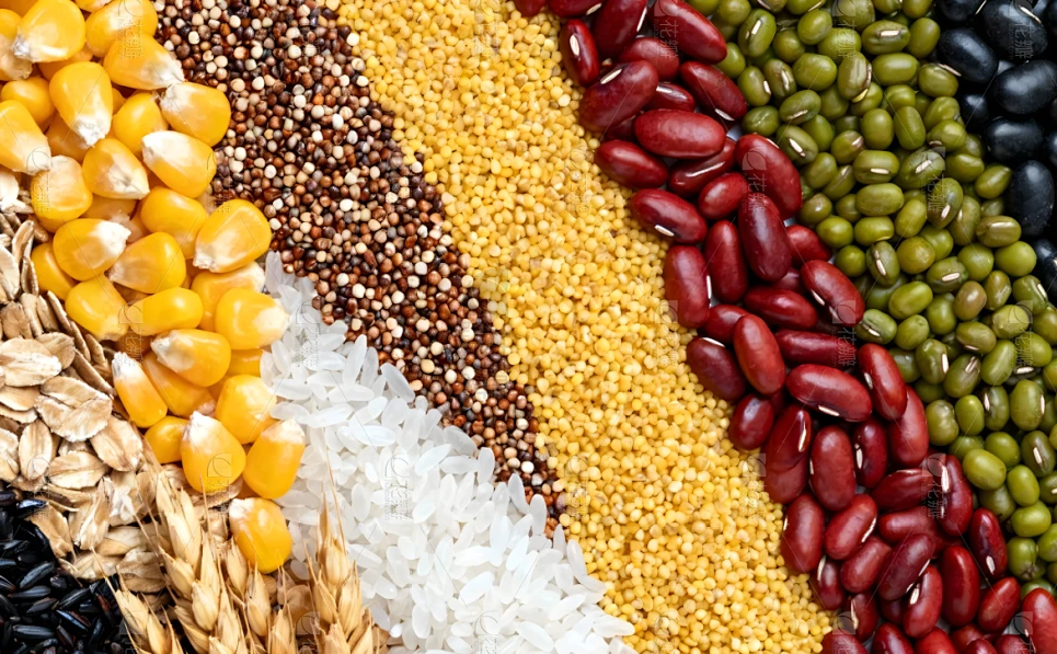 Bean Color Sorter Machine