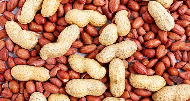 Groundnut Color Sorter Machine