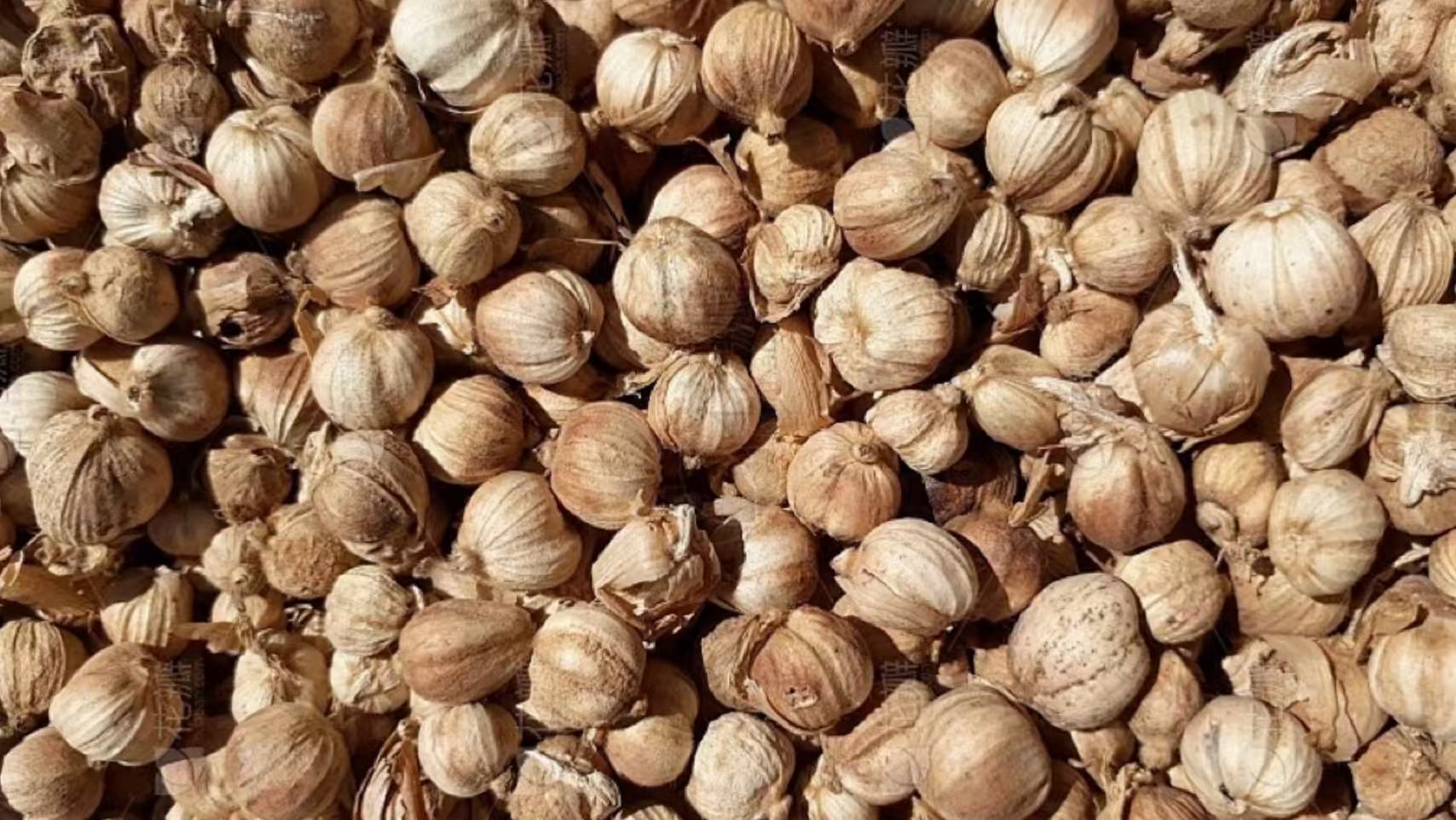 Cardamom Color Sorting Machine