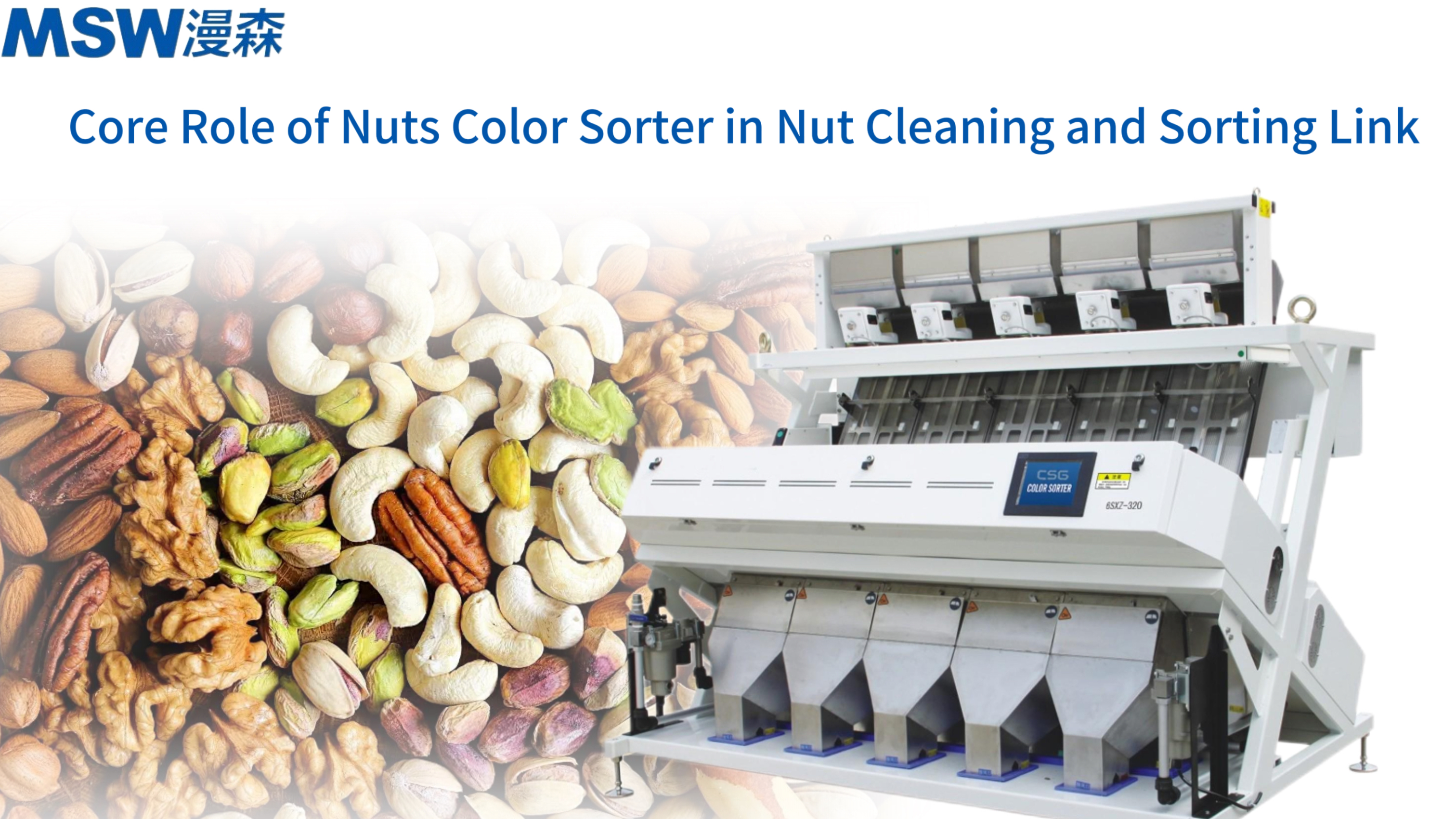 The Core Role of Nuts Color Sorter in Nut Cleaning and Sorting