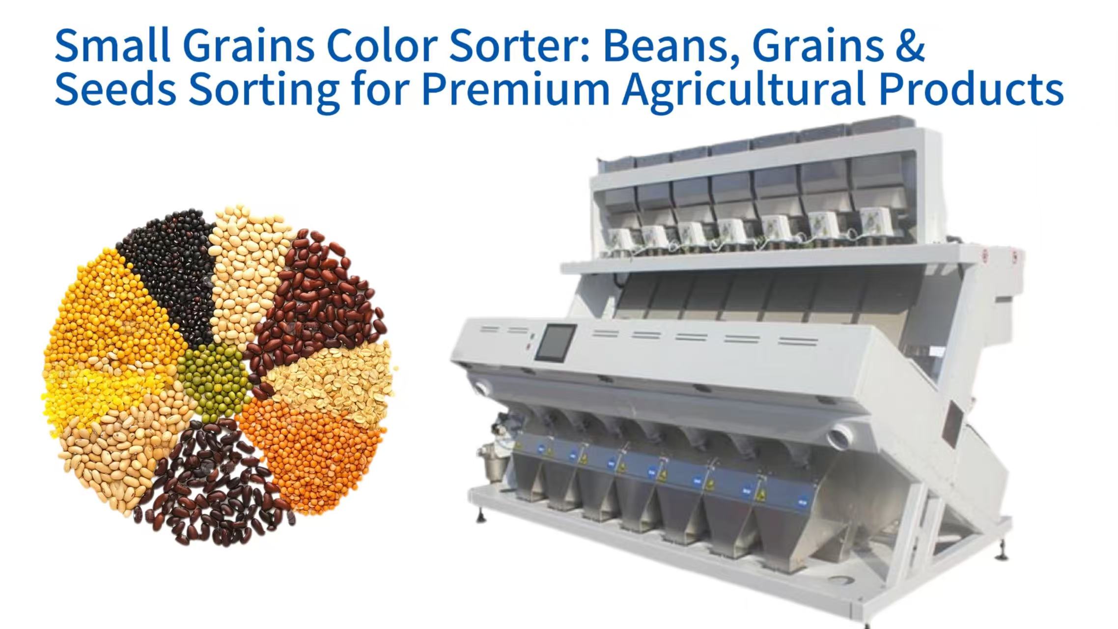 Small Grains Color Sorter: Beans, Grains & Seeds Sorting for Premium Agricultural Products
