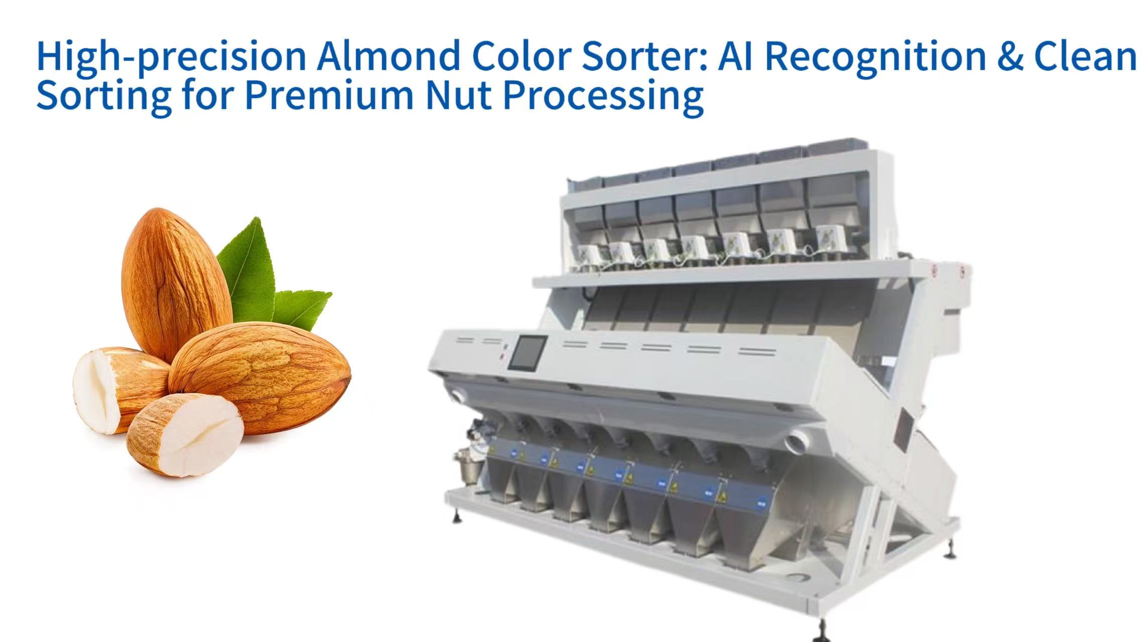 High-precision Almond Color Sorter: AI Recognition & Clean Sorting for Premium Nut Processing