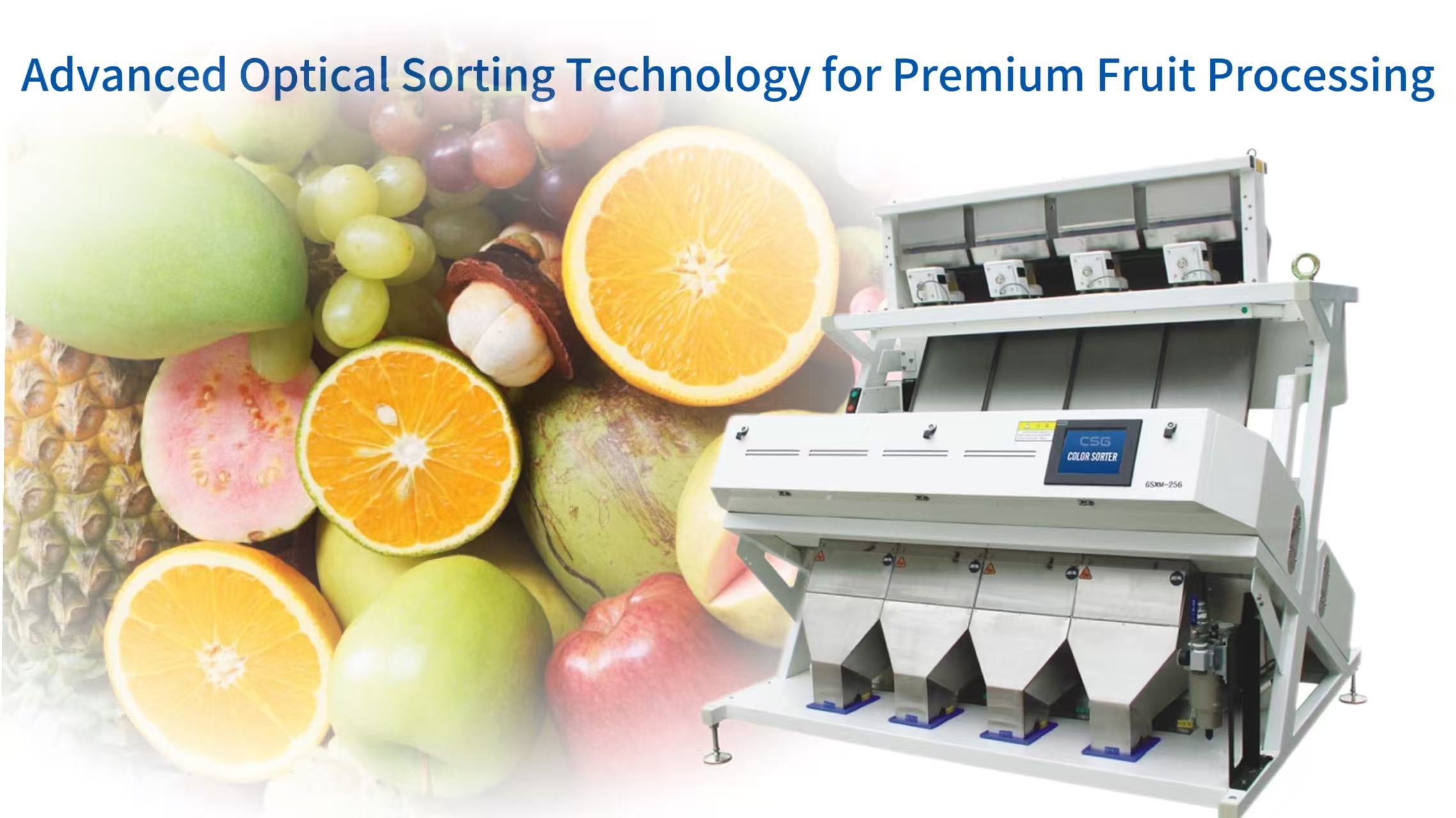 Advanced Optical Sorting Technology for Premium Fruit Processing ...