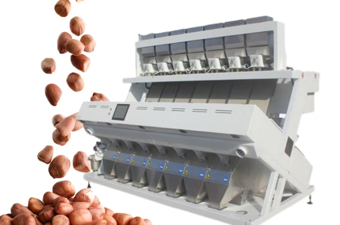 Groundnut Color Sorter Machine sorting groundnut kernels