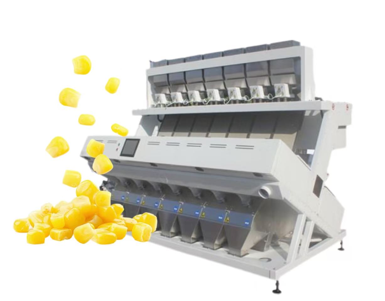 Corn Color Sorter Machine sorting corn kernels