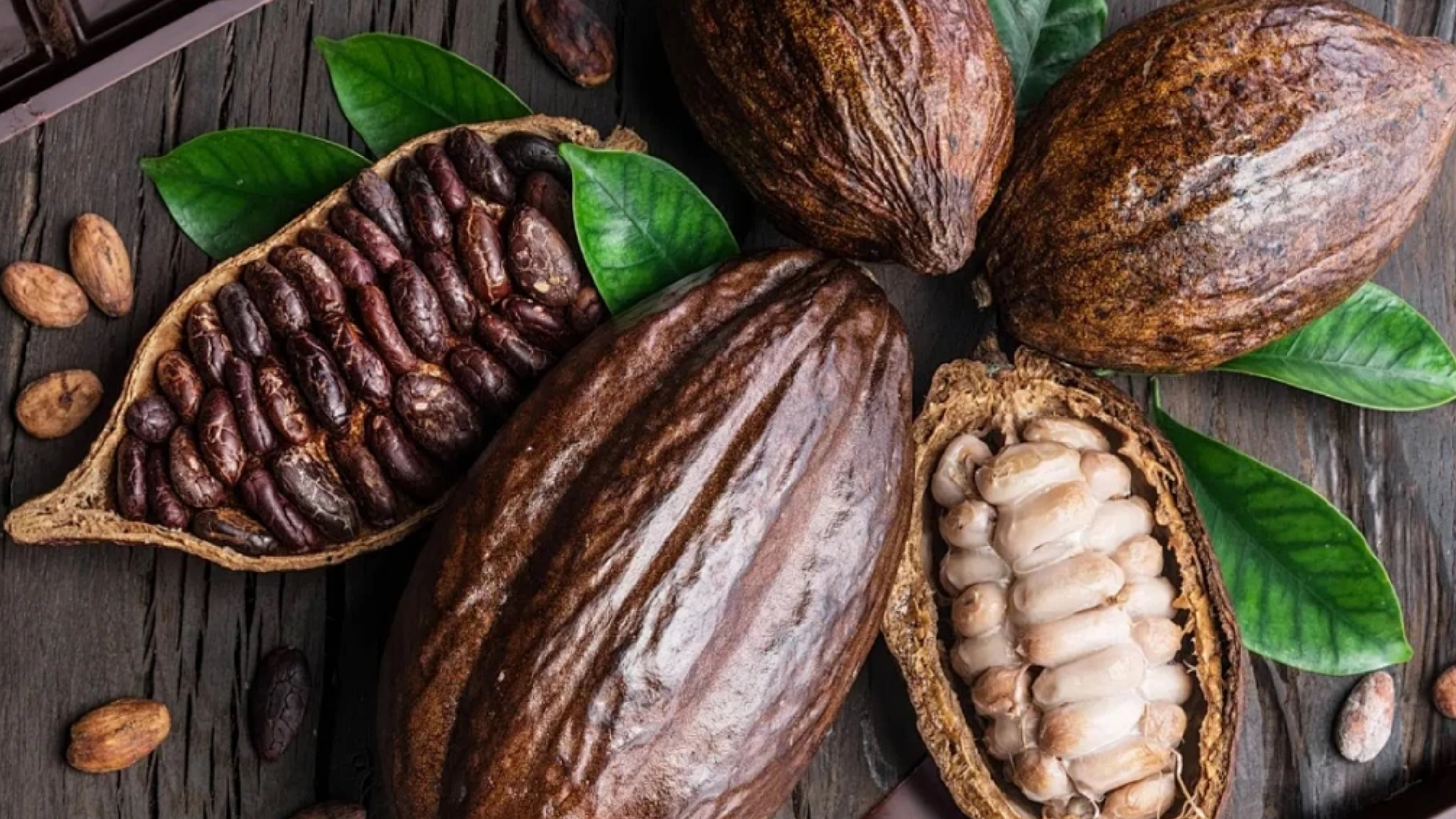 Cocoa Bean Color Sorter Machine