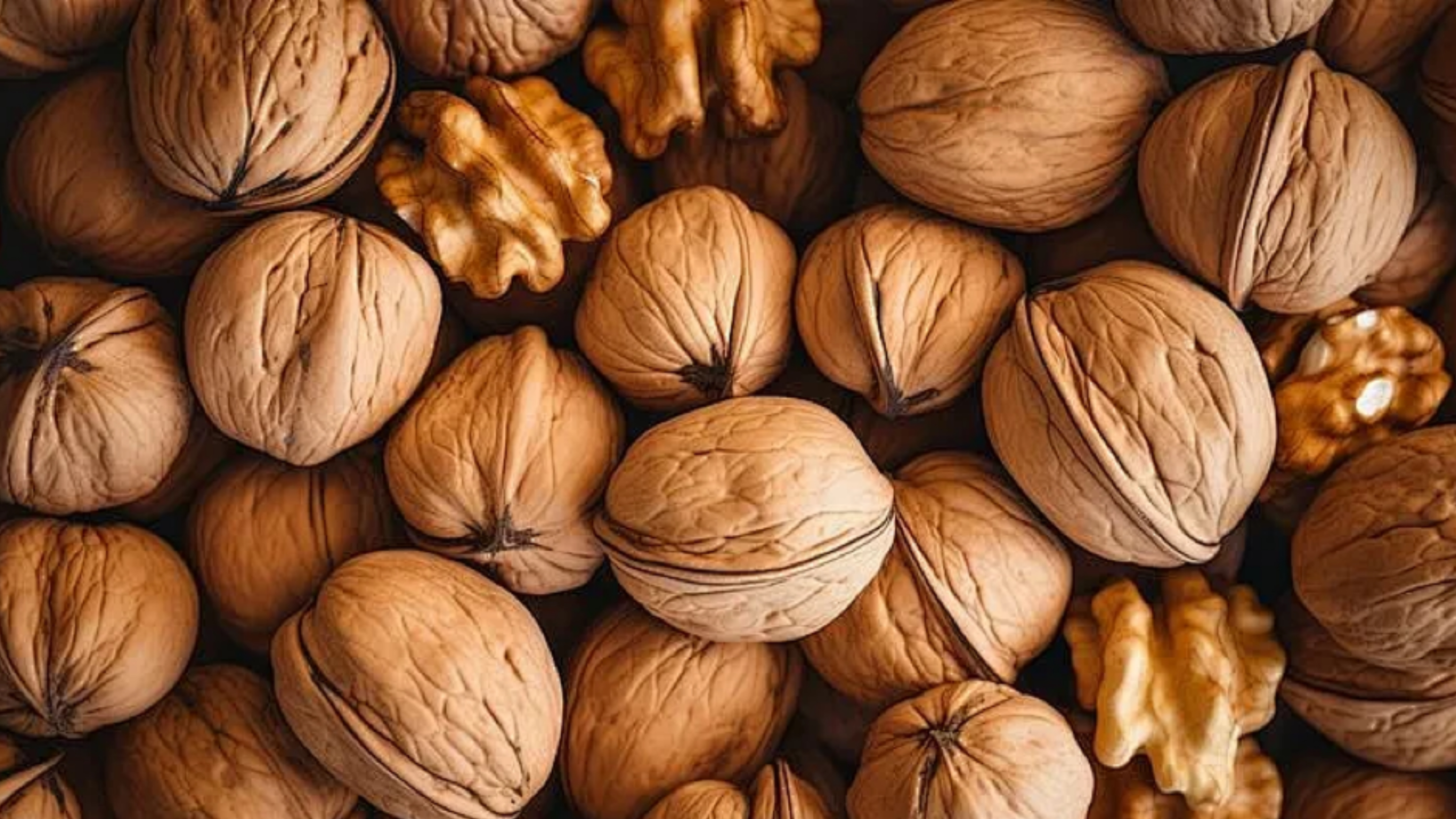 Walnut Color Sorter Machine