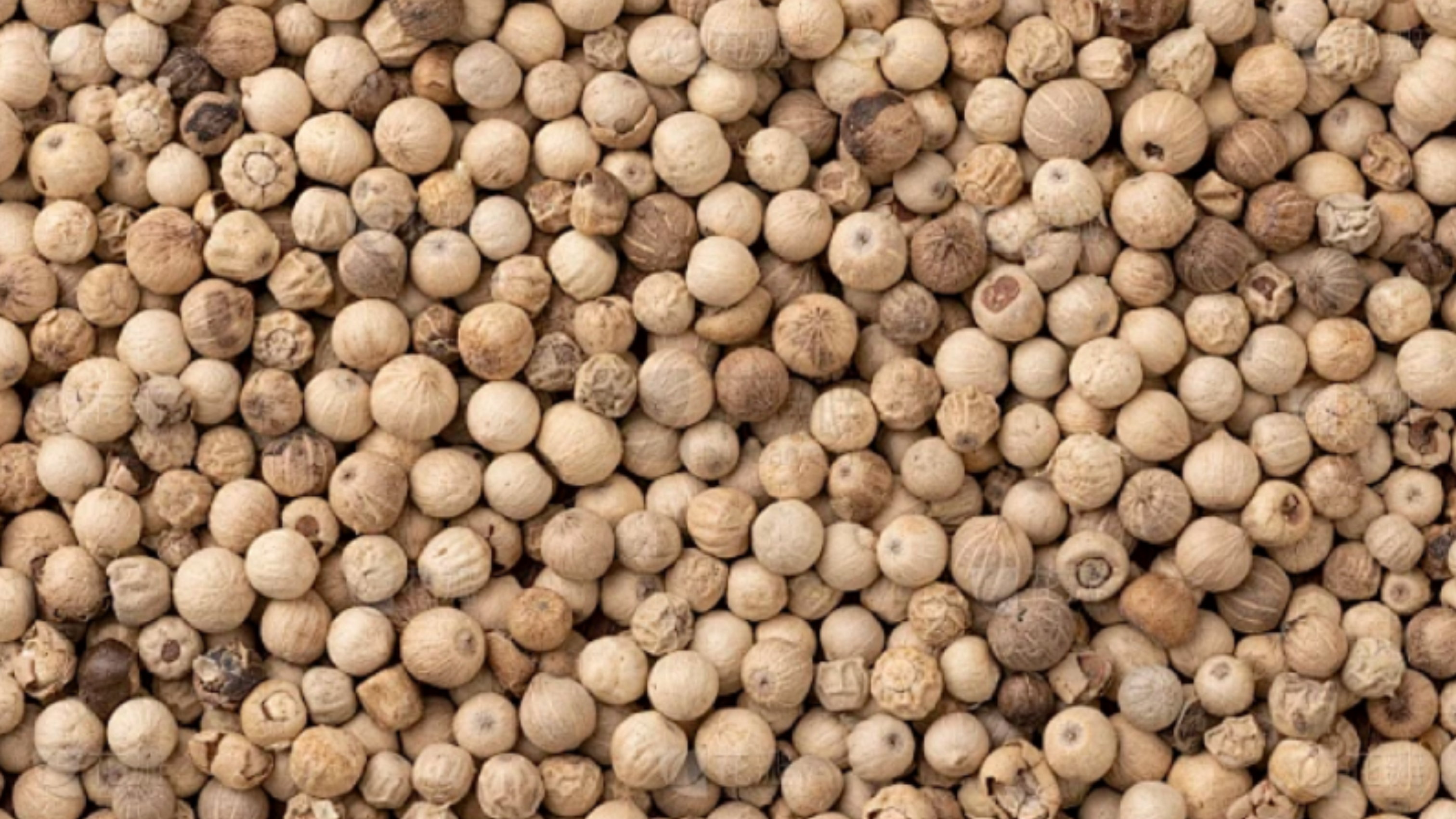 Pepper Color Sorter Machine