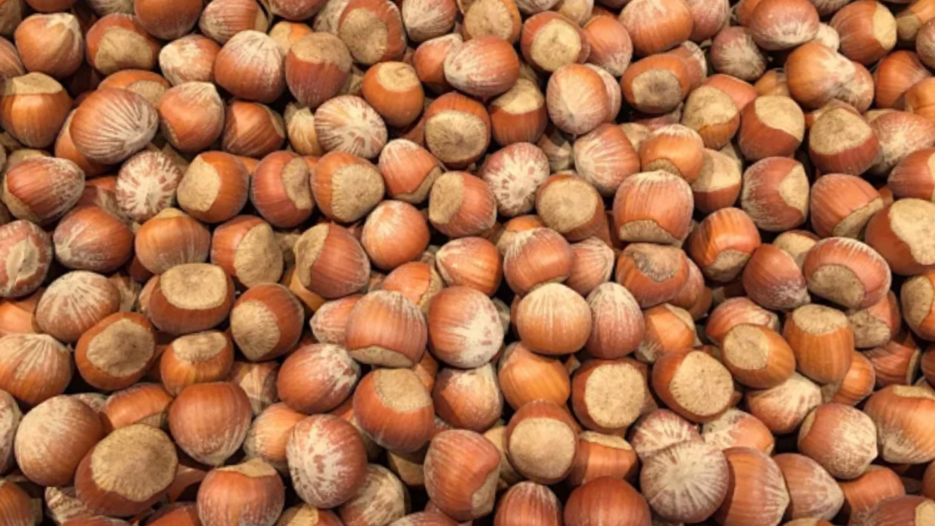 Chestnut Color Sorter Machine