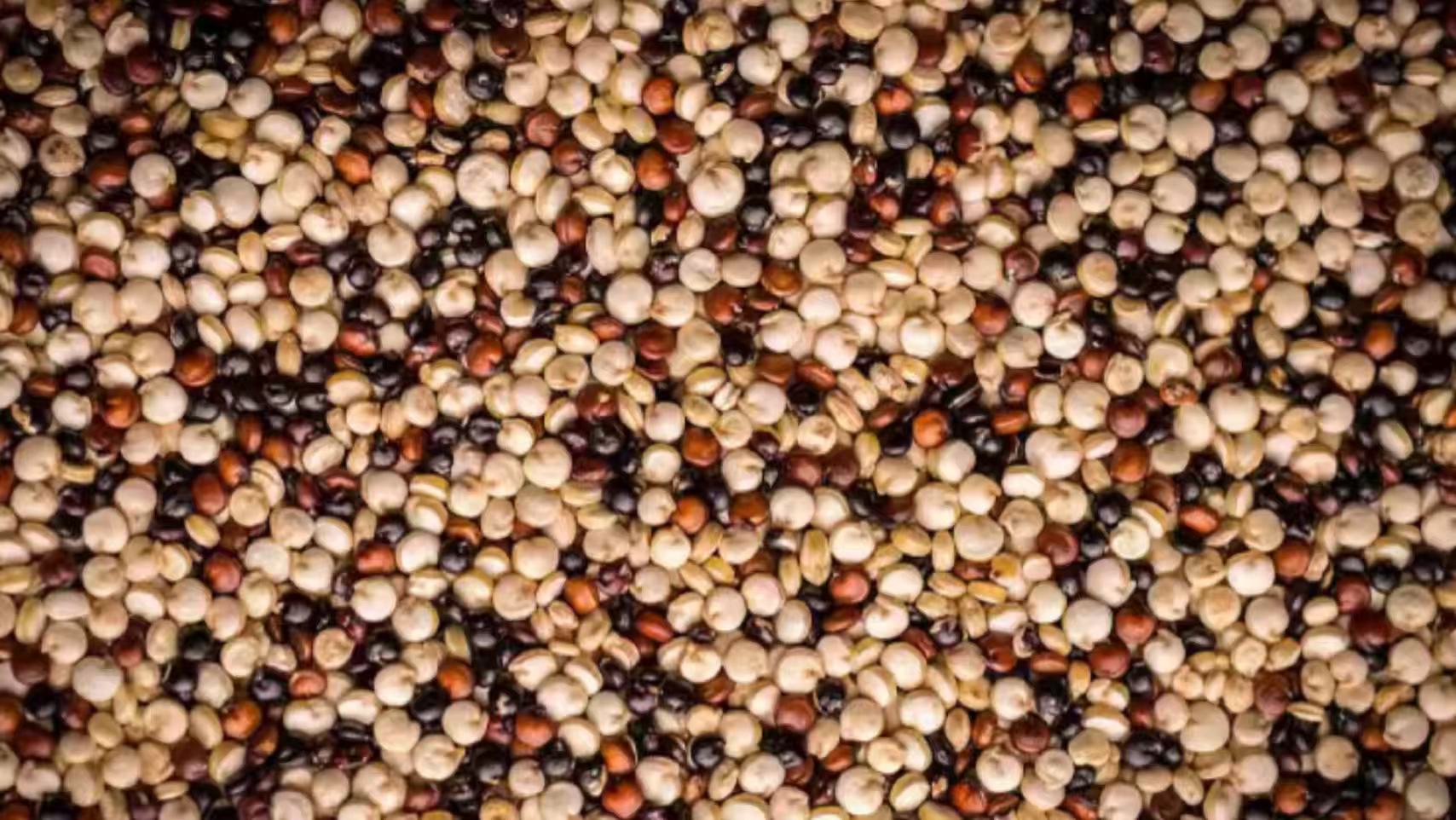 Quinoa Color Sorter Machine