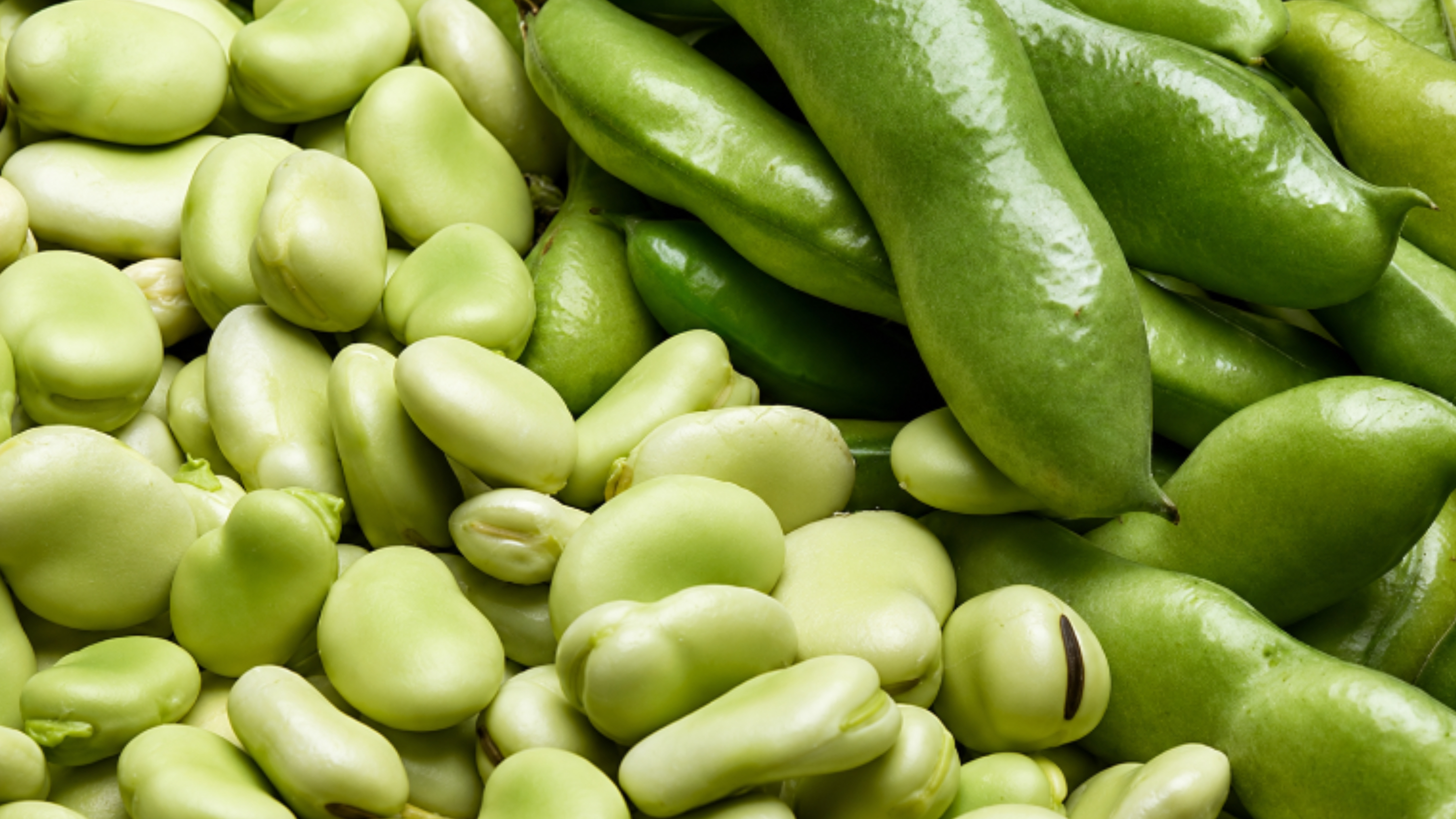 Fava Bean Color Sorter Machine
