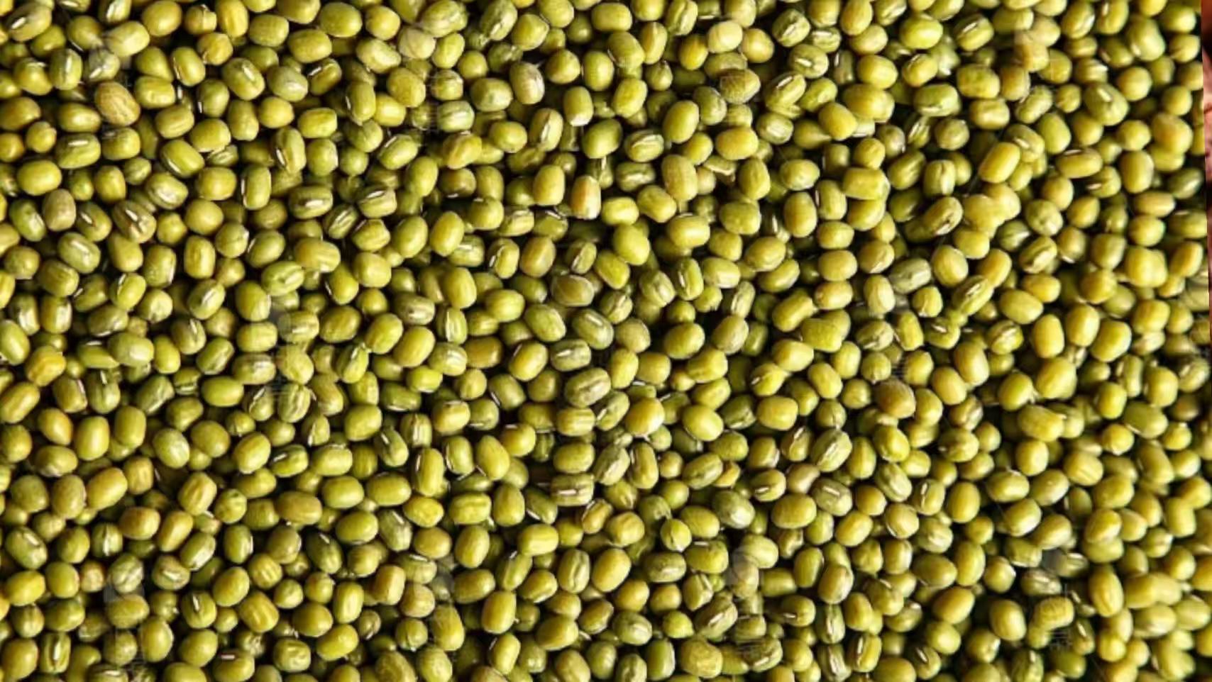 Mung Bean Color Sorter Machine