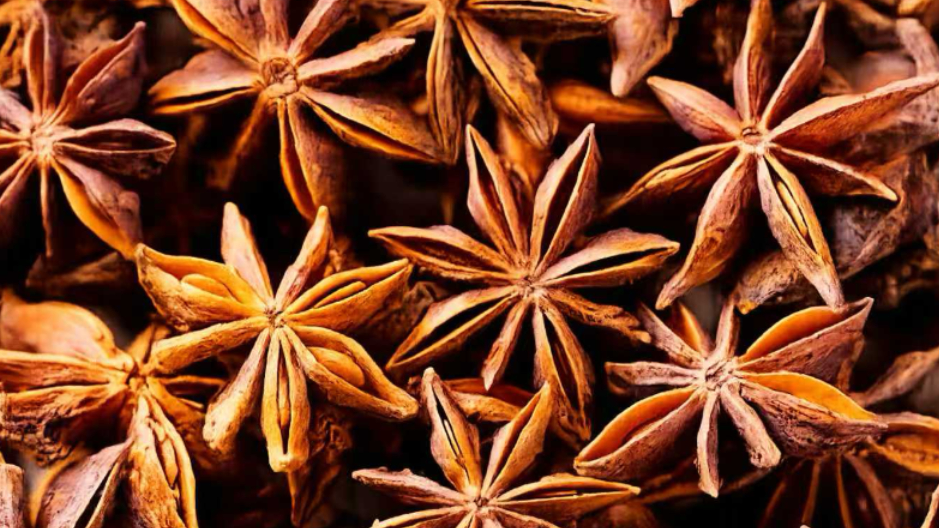 Star Anise Color Sorter Machine