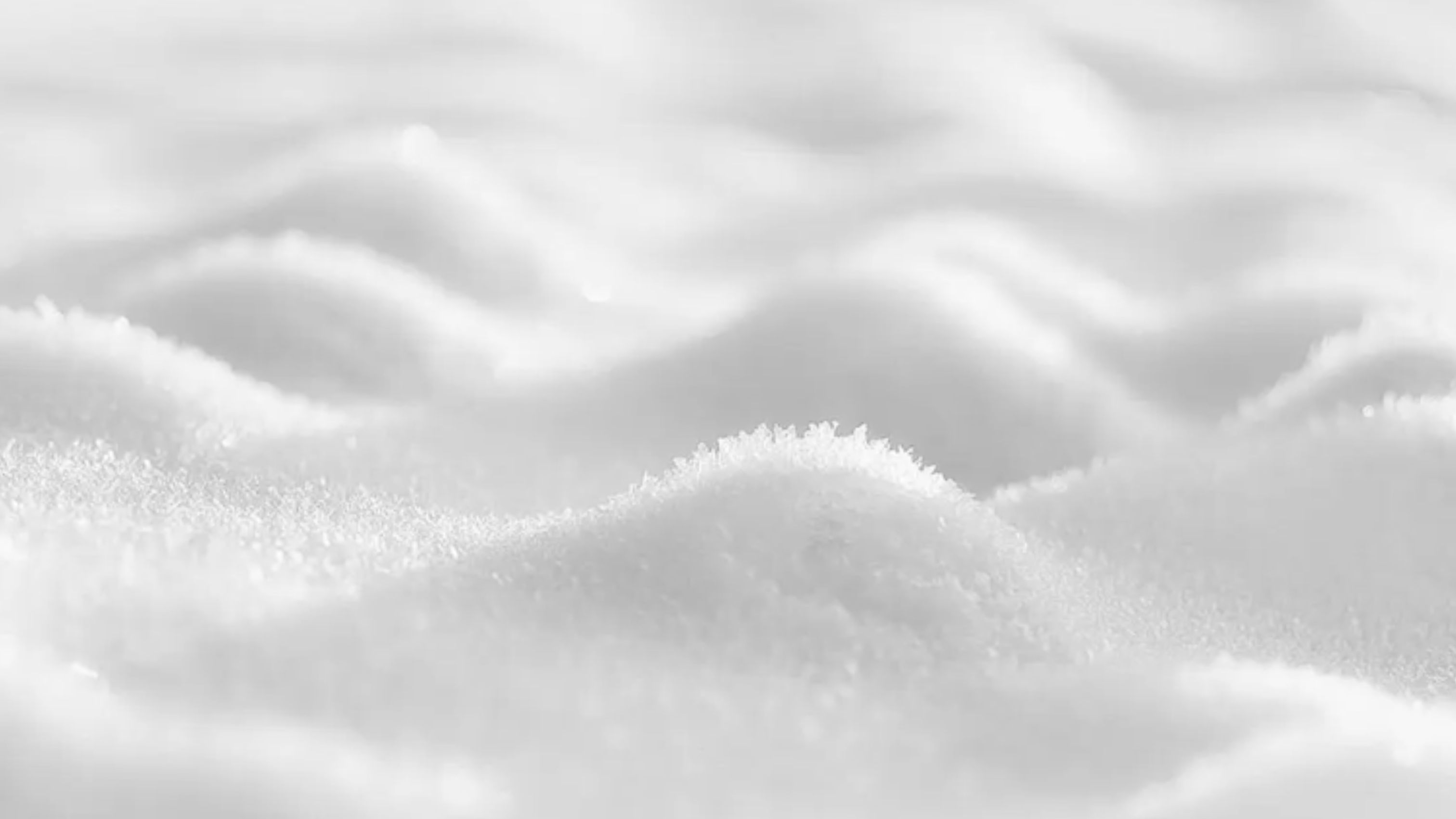 White Sugar Color Sorter Machine