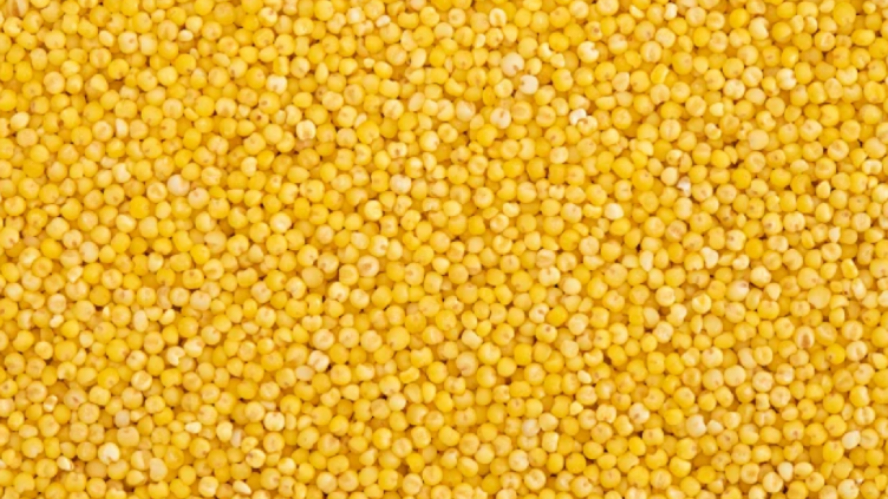 Millet Color Sorter Machine